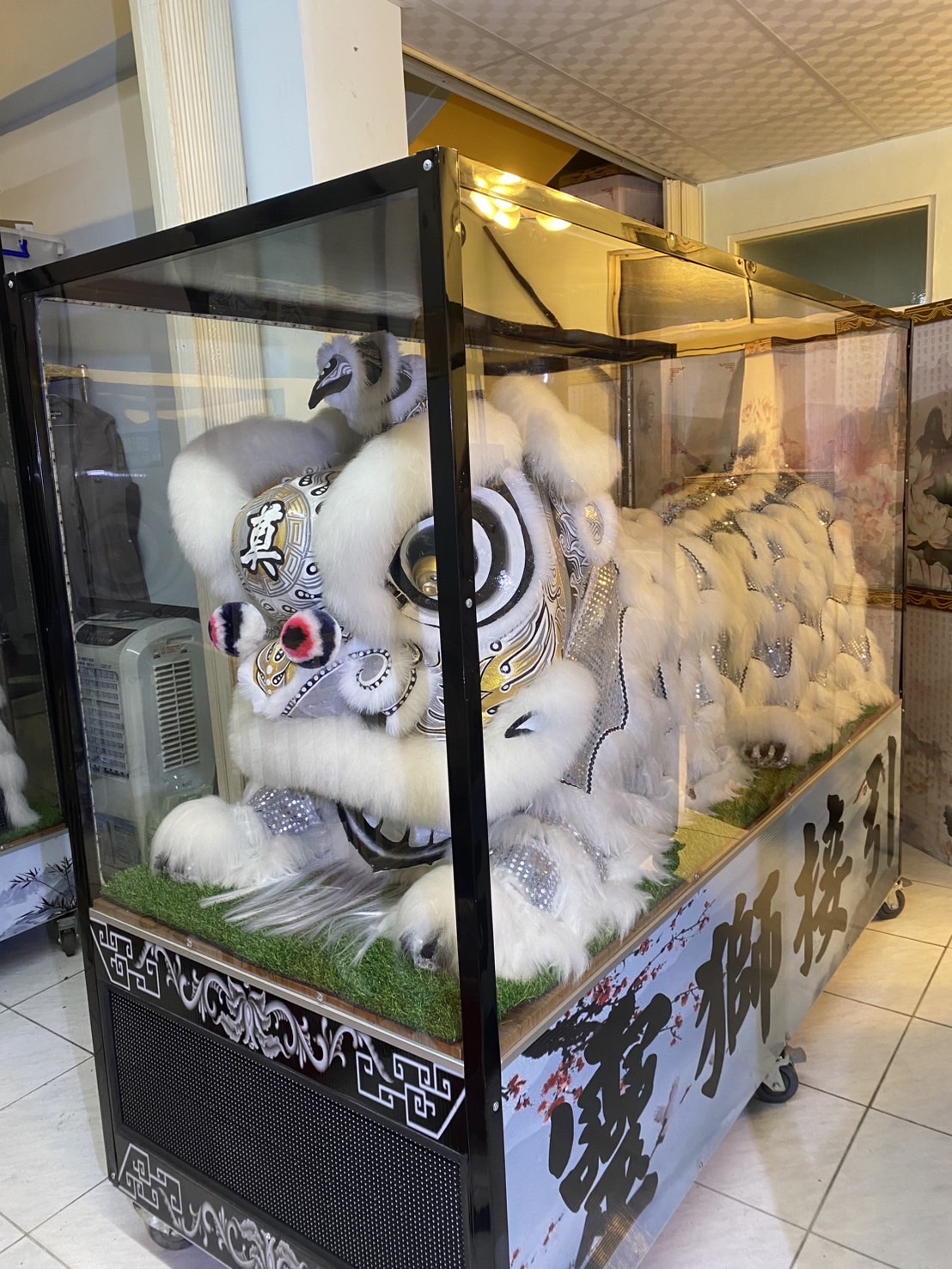 趴獅/靈獅出租