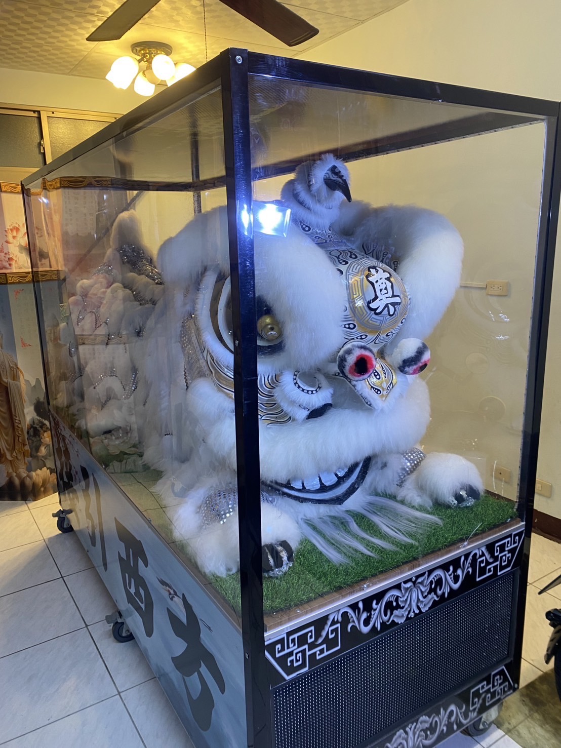 趴獅/靈獅出租