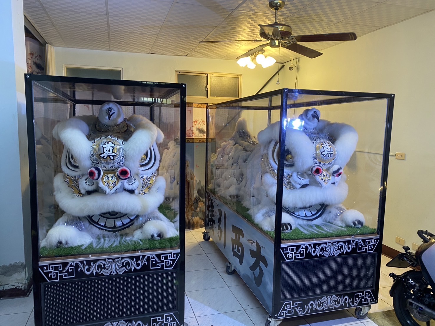 趴獅/靈獅出租