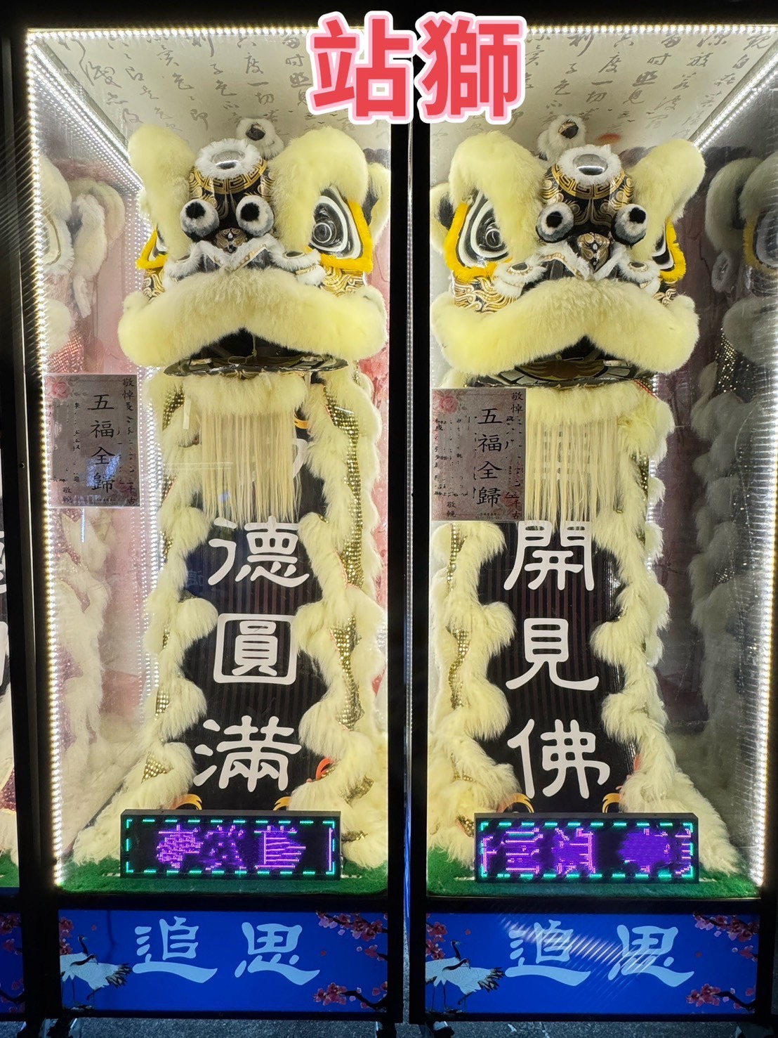 站獅/靈獅出租