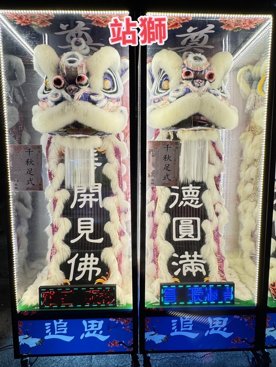 站獅/靈獅出租