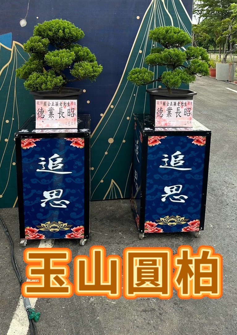 玉山圓柏